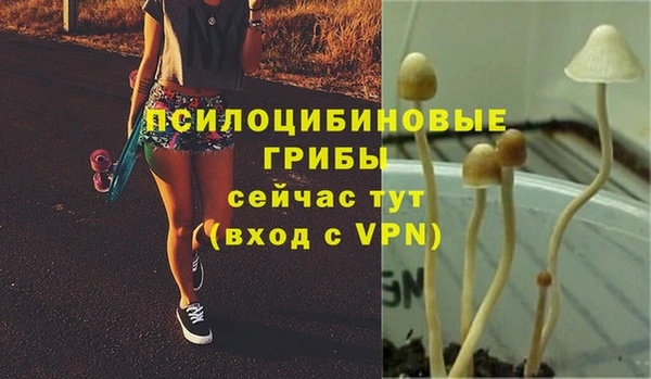 ешки Алексеевка