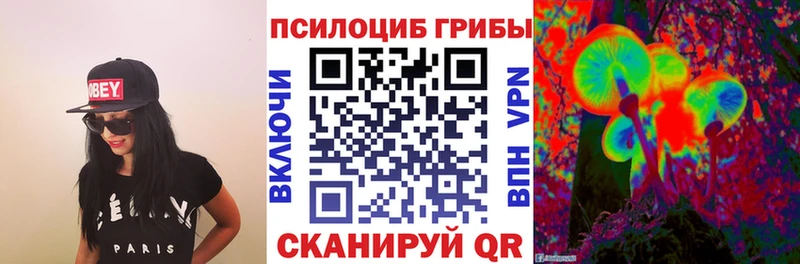 наркошоп  Урюпинск  даркнет клад  Галлюциногенные грибы Psilocybine cubensis 