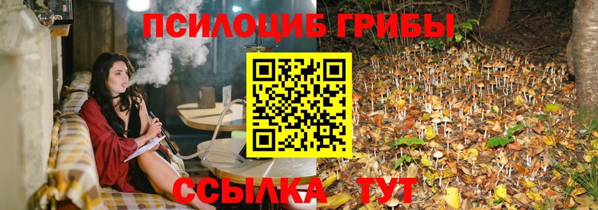 Псилоцибиновые грибы Cubensis  Вход с VPN  даркнет сайт  Урюпинск 